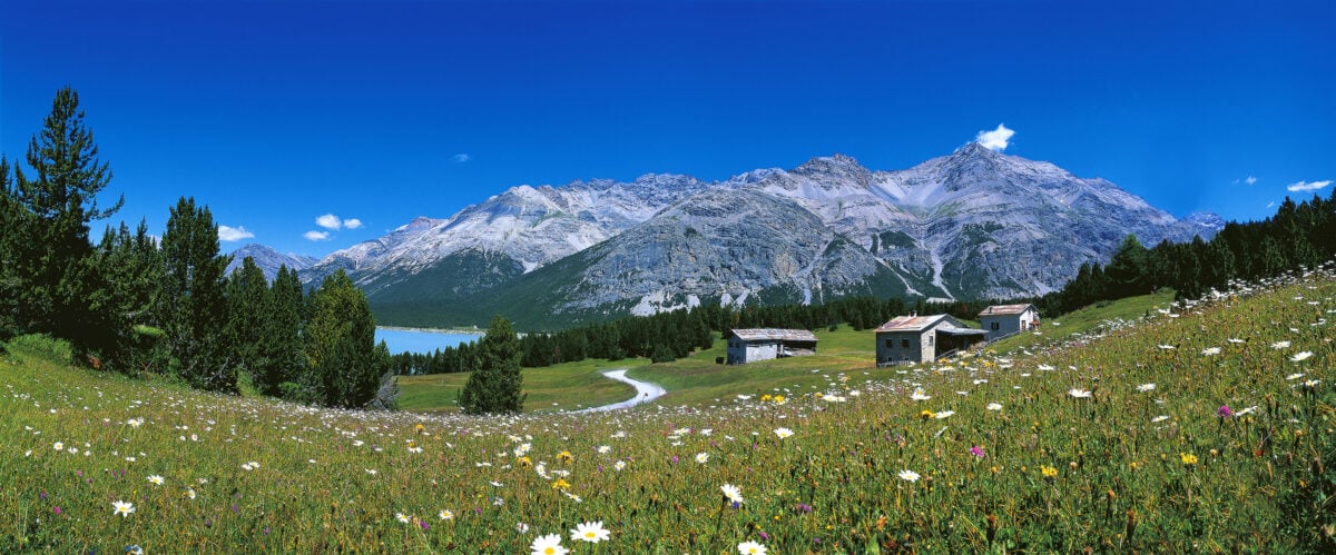 Montagne verdi