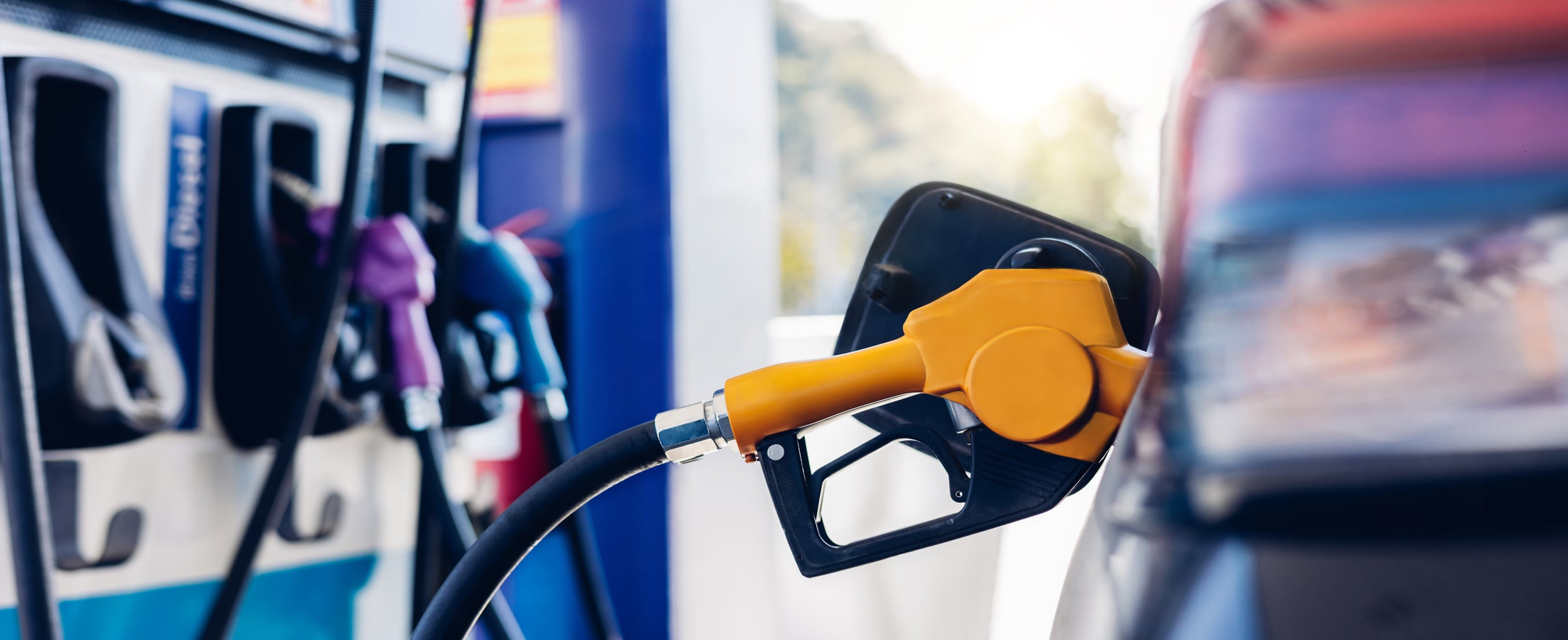 accise carburante benzina e diesel costano di pi249 quanto aumenta il pieno da Panorama.it accise carburante benzina e diesel costano di pi249 quanto aumenta il pieno