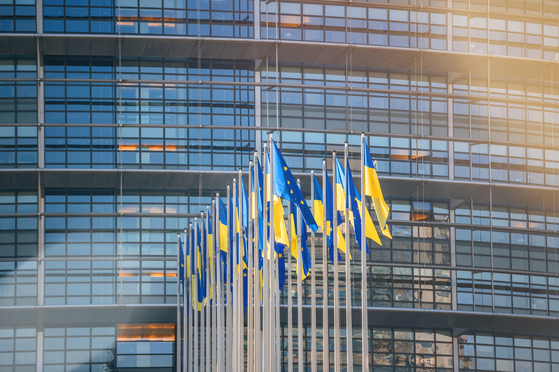 Dietro l’ingresso di Kiev nella Nato c’è il grande affare delle armi Dietro l’ingresso di Kiev nella Nato c’è il grande affare delle armi
