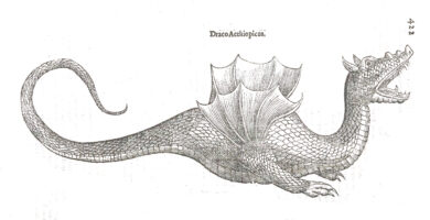 Altro che Loch Ness: la leggenda del drago che viveva nel cuore della Lombardia