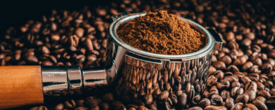 Caffé, viaggio nei chicchi del futuro (quelli che conosciamo sono a rischio estinzione)