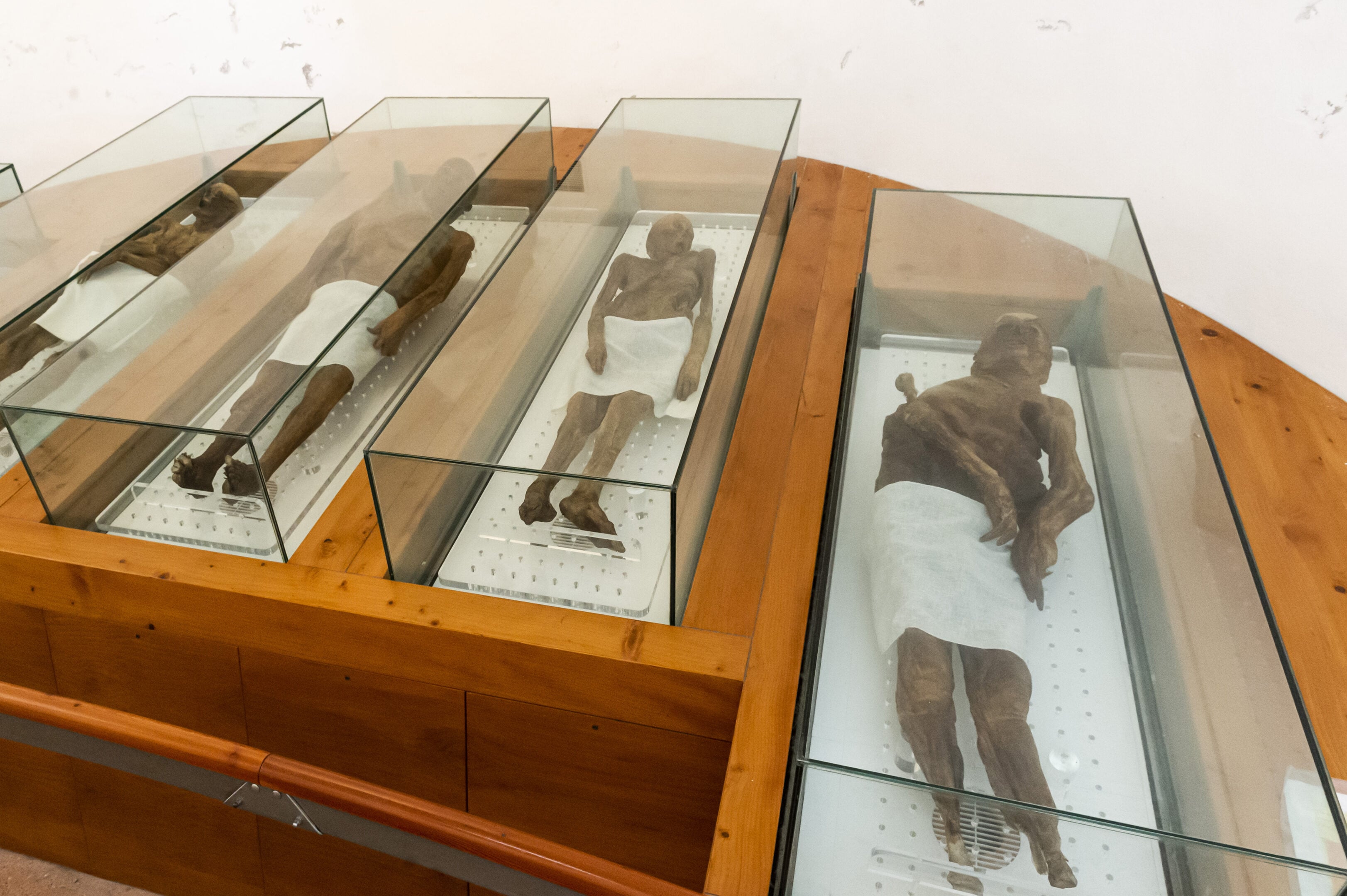 Il mistero delle Mummie di Venzone: come hanno fatto questi corpi a conservarsi per secoli senza imbalsamazione? Il mistero delle Mummie di Venzone: come hanno fatto questi corpi a conservarsi per secoli senza imbalsamazione?