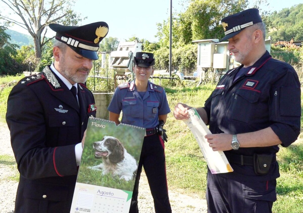 Emergenza cani randagi: a Città di Castello alleanza tra Carabinieri, Comune ed Enpa Emergenza cani randagi: a Città di Castello alleanza tra Carabinieri, Comune ed Enpa