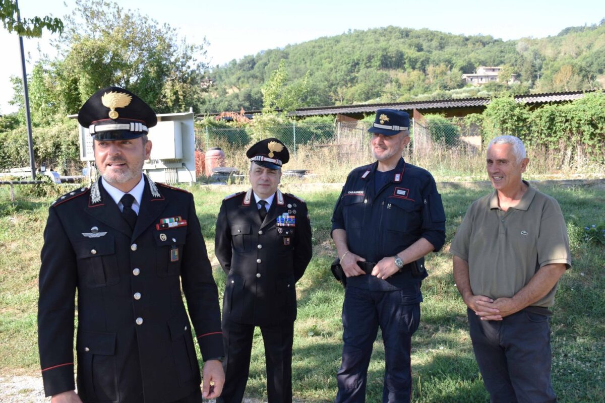 Emergenza cani randagi: a Città di Castello alleanza tra Carabinieri, Comune ed Enpa Emergenza cani randagi: a Città di Castello alleanza tra Carabinieri, Comune ed Enpa