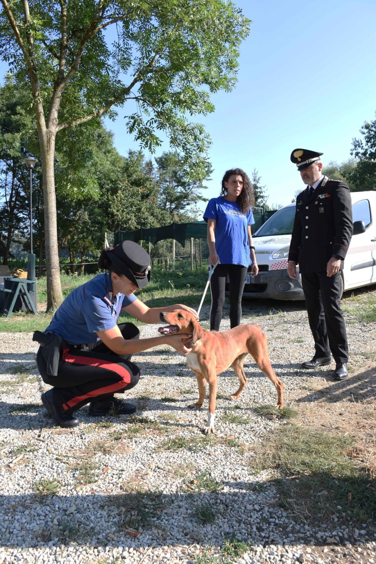 Emergenza cani randagi: a Città di Castello alleanza tra Carabinieri, Comune ed Enpa Emergenza cani randagi: a Città di Castello alleanza tra Carabinieri, Comune ed Enpa