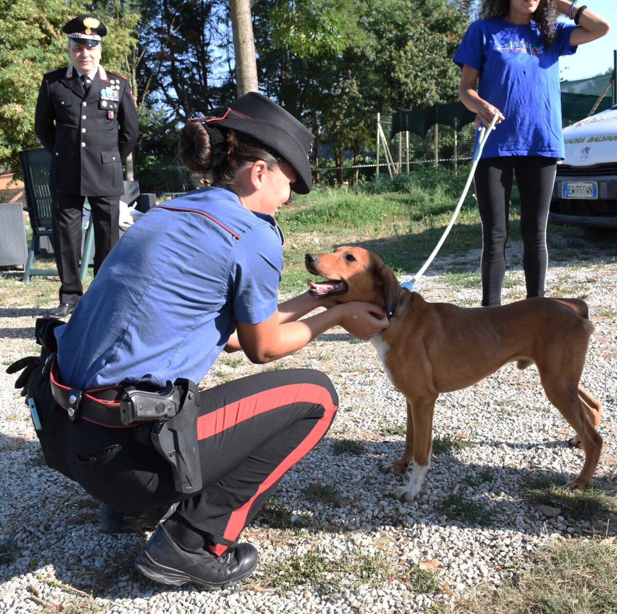 Emergenza cani randagi: a Città di Castello alleanza tra Carabinieri, Comune ed Enpa Emergenza cani randagi: a Città di Castello alleanza tra Carabinieri, Comune ed Enpa