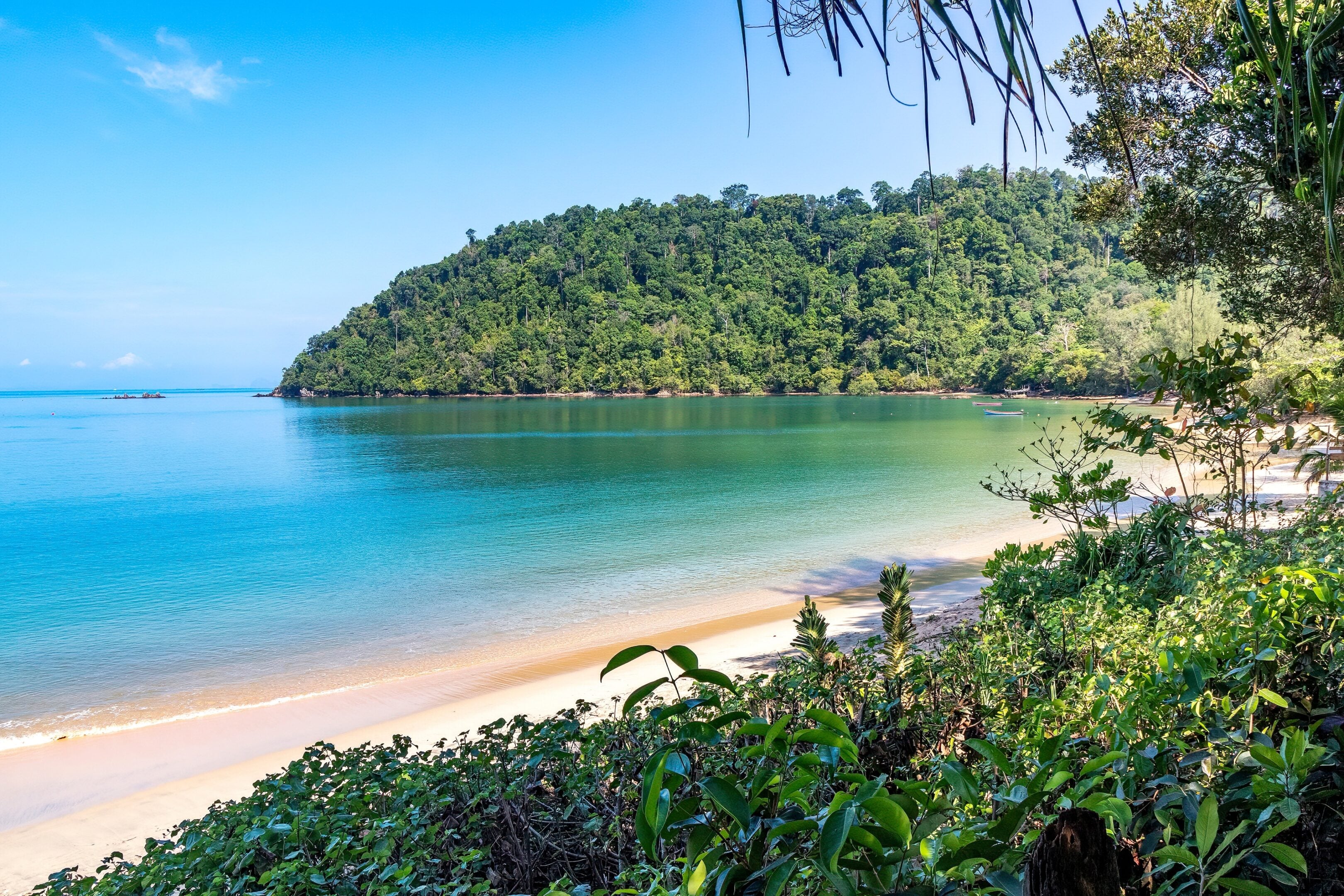 La Thailandia segreta è sul mare: 8 luoghi tra delfini rosa, grotte di smeraldo e villaggi sull’acqua La Thailandia segreta è sul mare: 8 luoghi tra delfini rosa, grotte di smeraldo e villaggi sull’acqua