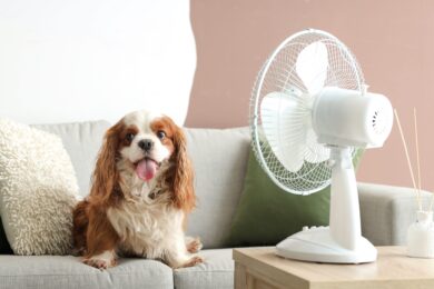 Caldo record, ecco perché la bolletta può aumentare: il meteo decide il prezzo dell’energia