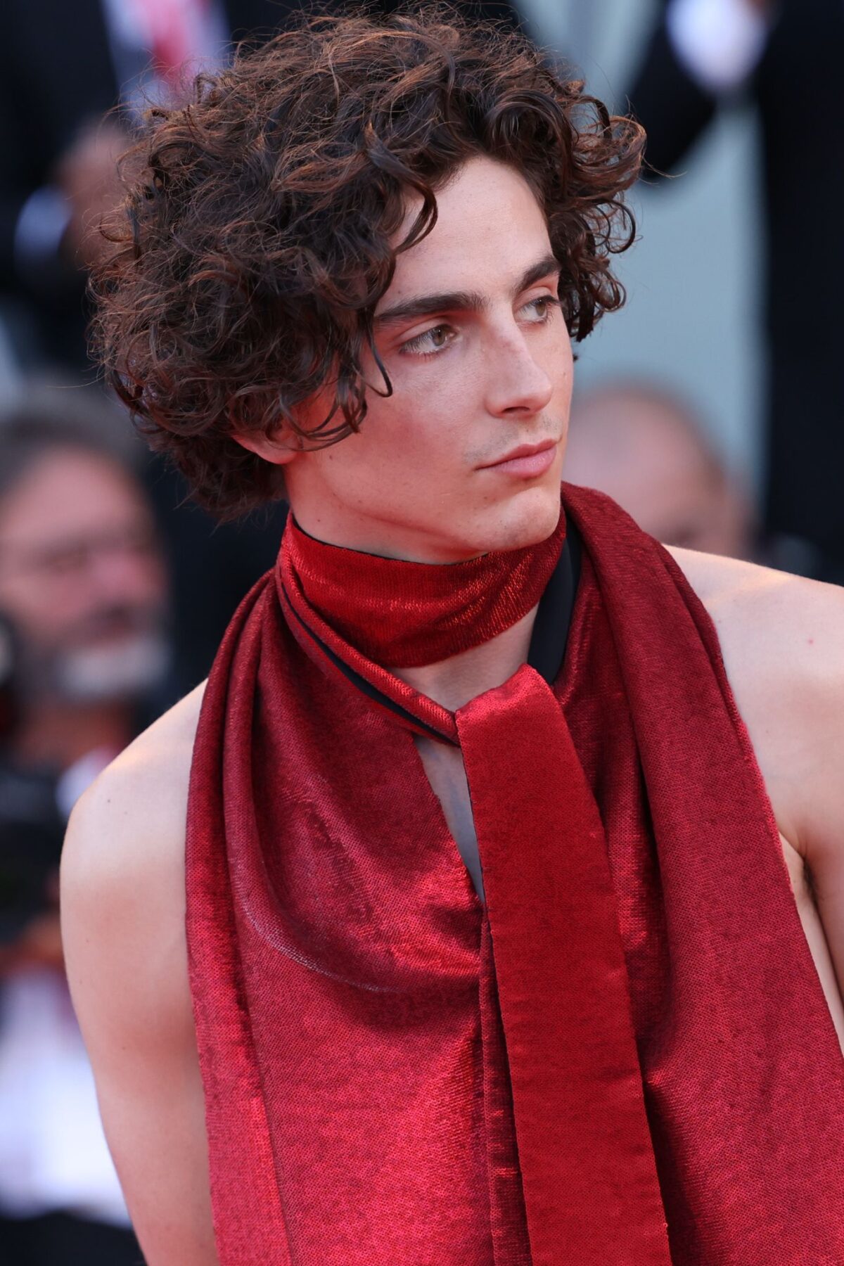 Festival di Venezia, i look più belli di sempre che hanno fatto la storia del red carpet Festival di Venezia, i look più belli di sempre che hanno fatto la storia del red carpet