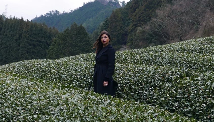 Un angolo di quiete a Manhattan grazie al matcha e al tè verde del Giappone portato negli Usa da un’italiana Un angolo di quiete a Manhattan grazie al matcha e al tè verde del Giappone portato negli Usa da un’italiana