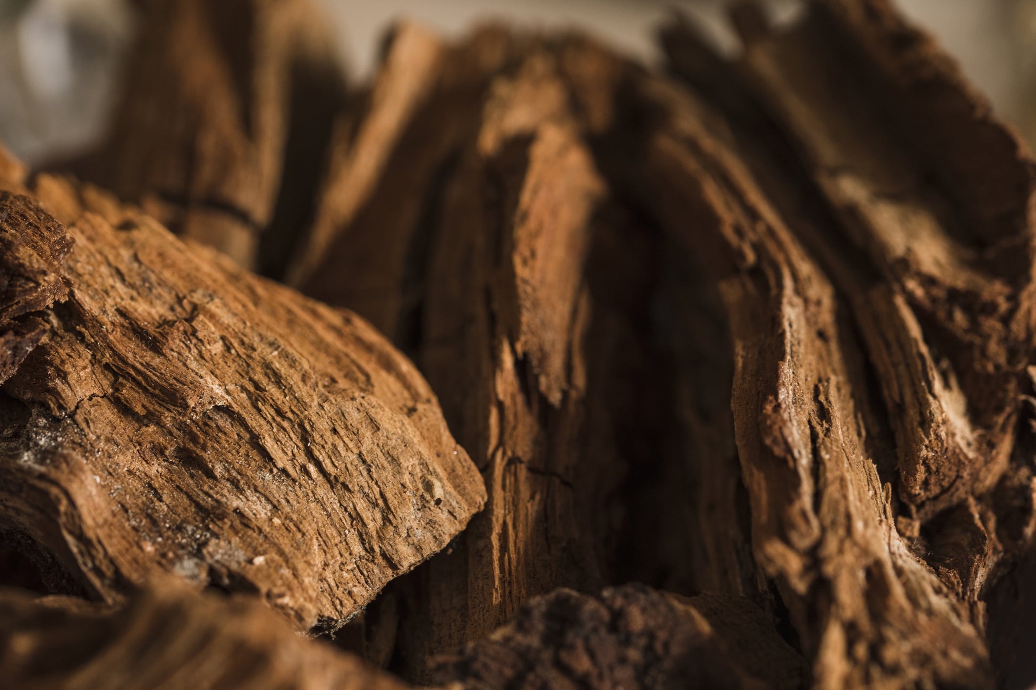 Kynam, il legno orientale che costa più dell’oro
