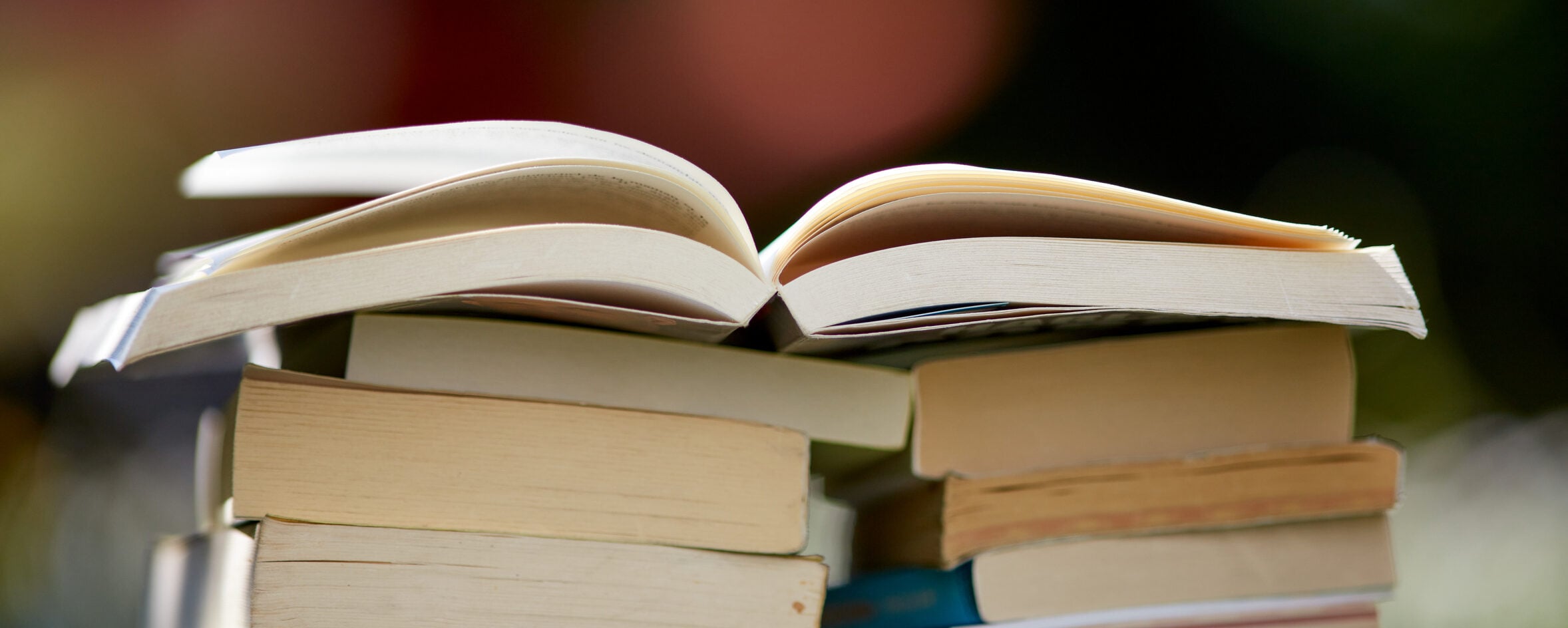 Nasce XL, il colosso dell’ingrosso librario da 250 milioni di fatturato Nasce XL, il colosso dell’ingrosso librario da 250 milioni di fatturato