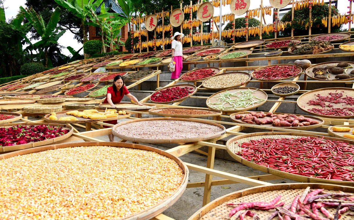 La Cina che non conosci si scopre a tavola: dieci tappe tra città imperiali, mercati e sapori sorprendenti
