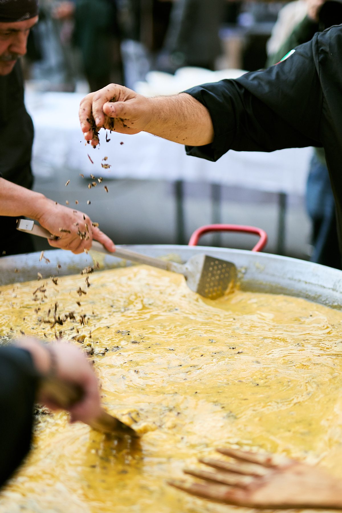 Tartufo Bianco Pregiato: a Sant’Angelo in Vado, nelle Marche, 63 anni di cerca, cultura e tradizioni in Mostra Tartufo Bianco Pregiato: a Sant’Angelo in Vado, nelle Marche, 63 anni di cerca, cultura e tradizioni in Mostra