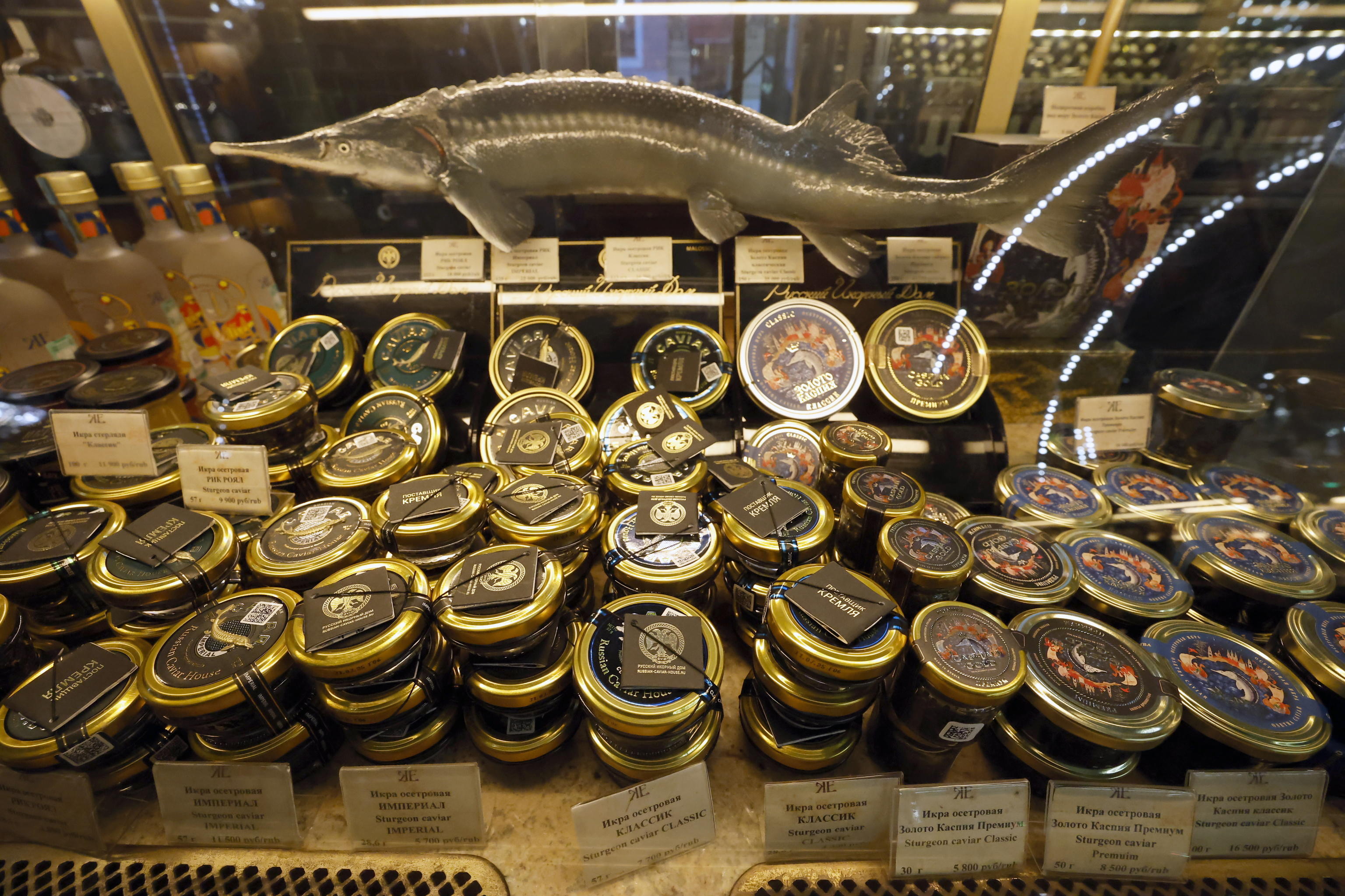 Almas: cos’è il caviale “dorato” (e costosissimo) entrato nel Guinnes dei primati Almas: cos’è il caviale “dorato” (e costosissimo) entrato nel Guinnes dei primati