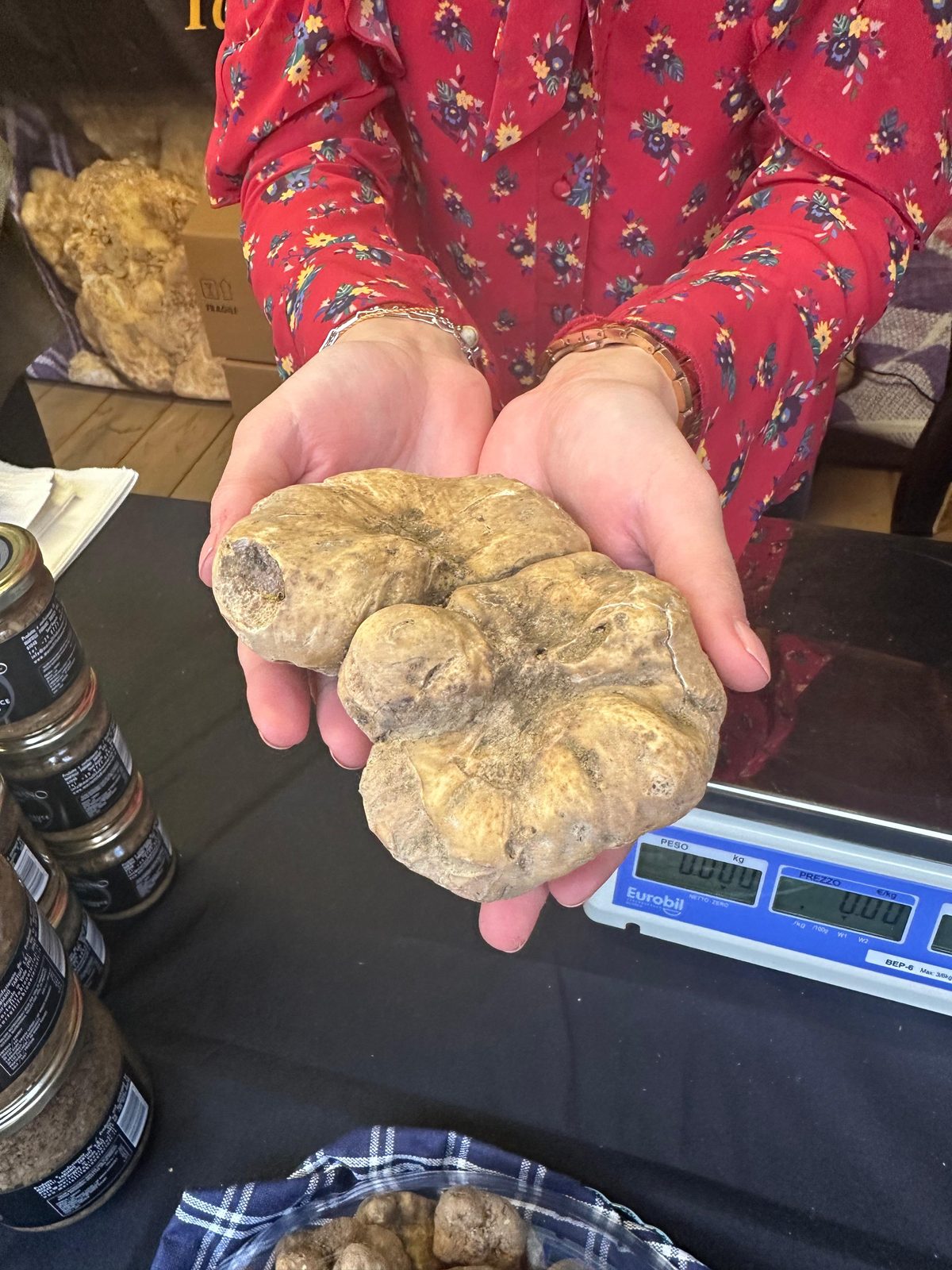 Tartufo Bianco Pregiato: a Sant’Angelo in Vado, nelle Marche, 63 anni di cerca, cultura e tradizioni in Mostra Tartufo Bianco Pregiato: a Sant’Angelo in Vado, nelle Marche, 63 anni di cerca, cultura e tradizioni in Mostra