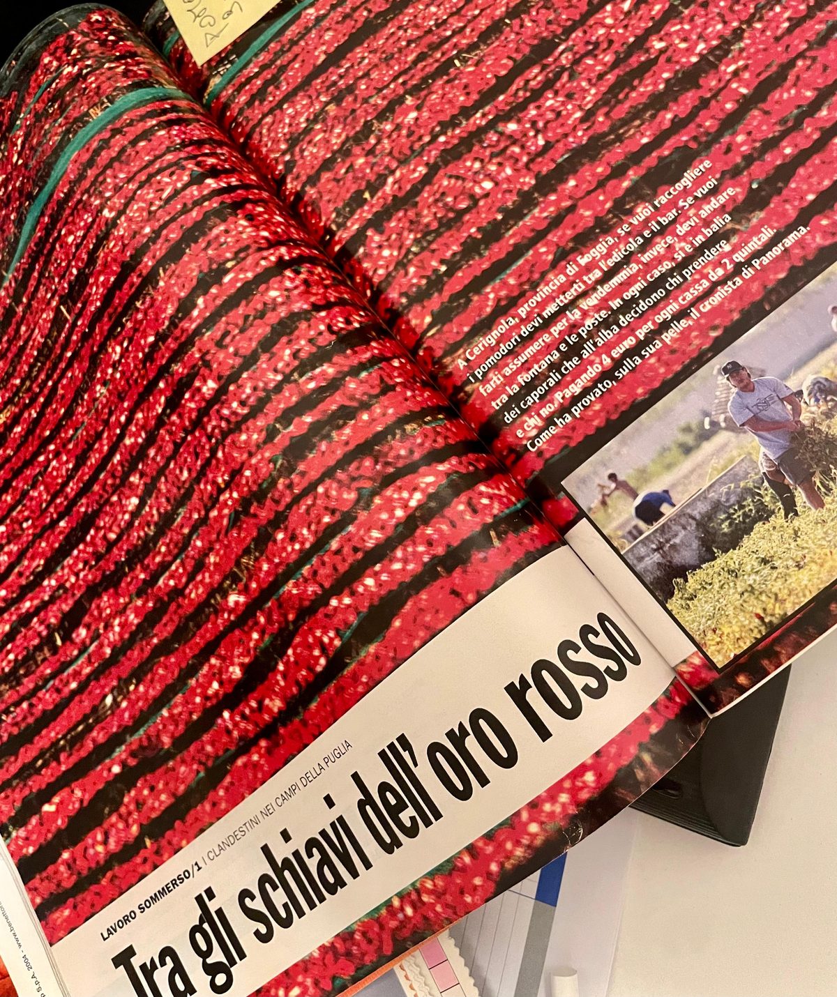 Giornalismo sotto copertura: tutti i segreti per sopravvivere al rischio del mestiere Giornalismo sotto copertura: tutti i segreti per sopravvivere al rischio del mestiere