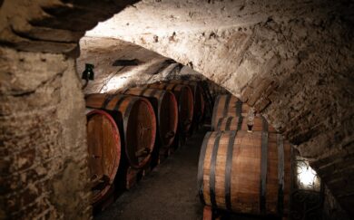 Farina Wines, un secolo di Valpolicella tra tradizione e innovazione tecnologica