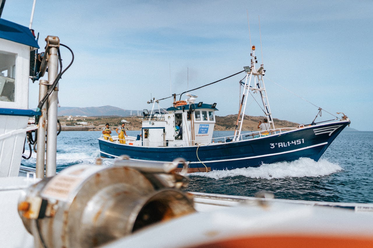 Pesca sostenibile, la preoccupazione per gli oceani: cosa cambia al supermercato Pesca sostenibile, la preoccupazione per gli oceani: cosa cambia al supermercato